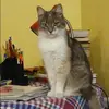 Отзыв от Евгения Воробьева